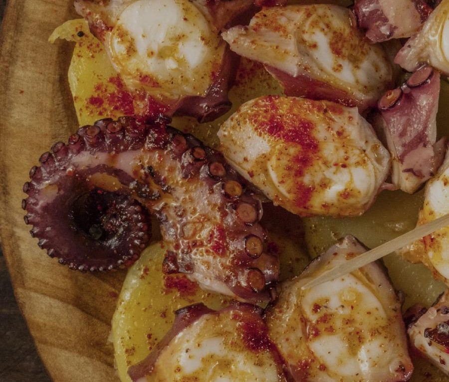 Pulpo